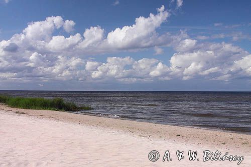 piaszczysta plaża w Roja, Zatoka Ryska, Łotwa sandy beach in Roja, Riga Bay, Latvia