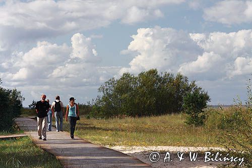 ścieżka nad morzem w Roja, Zatoka Ryska, Łotwa sandy beach in Roja, Riga Bay, Latvia