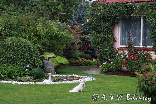 ogród w Roja, Zatoka Ryska, Łotwa a garden in Roja, Riga Bay, Latvia