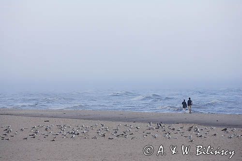 Łeba, mglisty poranek na plaży