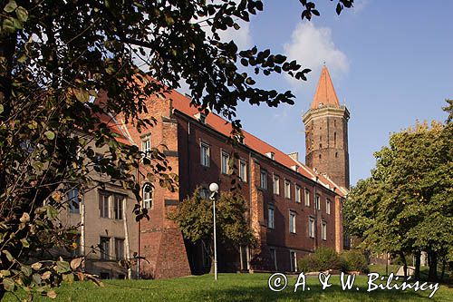 Legnica, Zamek Piastowski