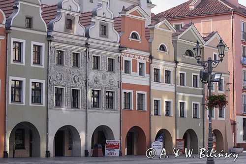 Legnica, kamieniczki na Rynku, polichromie