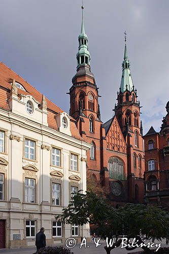 Legnica, Katedra św. św. Piotra i Pawła i Ratusz