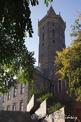 Legnica, Zamek Piastowski
