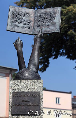 Lesko, pomnik książki