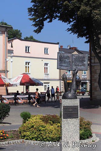 Lesko, pomnik książki