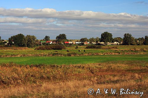 wieś Lesznia nad Narwią, Podlasie