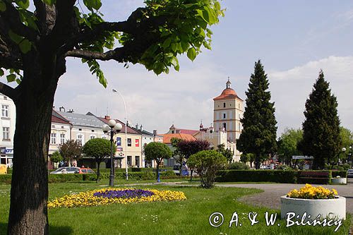 Leżajsk, Rynek, Ratusz i Wieża Farna przy kościele rzymskokatolickim Świętej Trójcy - Farze