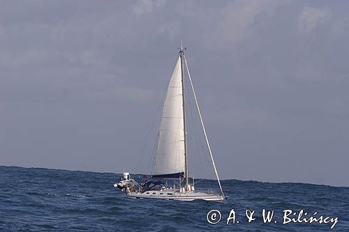 zjazd z fali oceanicznej - rozkołys, jacht typu Ovnie, s/y Liberte na fali oceanicznej, Atlantyk