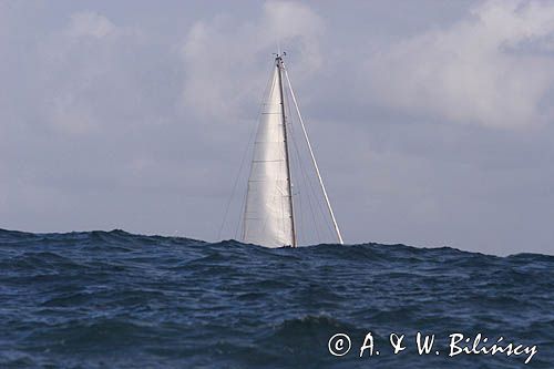 jacht typu Ovnie, s/y Liberte na fali oceanicznej, Atlantyk