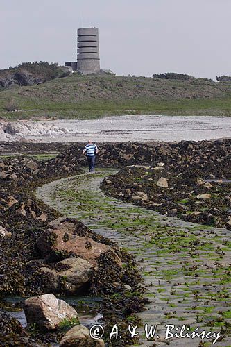 widok z wyspy Lihou na umocnienia wyspy Guernsey, Channel Island, Kanał La Manche,przejście między wyspami w czasie odpływu - odsłonieta droga w czasie odpływu