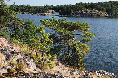 Lilla Tvasack, archipelag Gryt, Szwecja