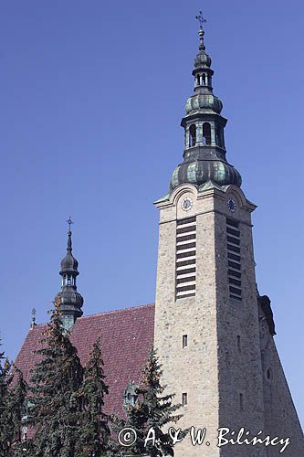 Limanowa, bazylika Matki Boskiej Bolesnej