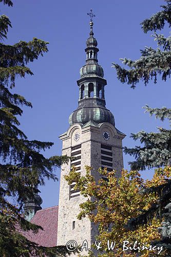 Limanowa, bazylika Matki Boskiej Bolesnej
