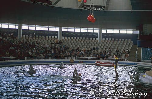 Litwa Kłajpeda Smiltyne - delfinarium