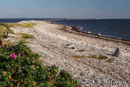 Wyspa Livo, Limfjord, Jutlandia, Dania