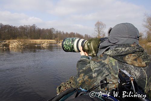 Fotografia przyrodnicza, Bank Zdjęć AiW Bilińscy