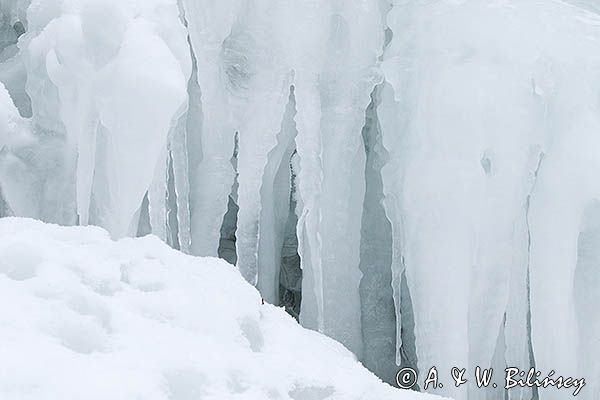 Lodospady nad Wisłokiem w Rudawce Rymanowskiej, Beskid Niski