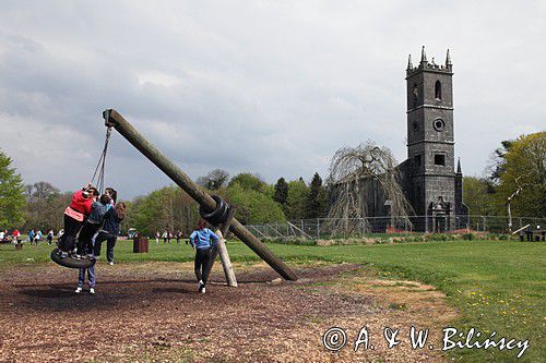 Ruiny kościoła w Lough Key, rejon Górnej Shannon, Irlandia, Lough Key Forest and Activity Park