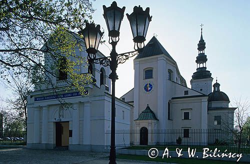 Łowicz bazylika katedralna