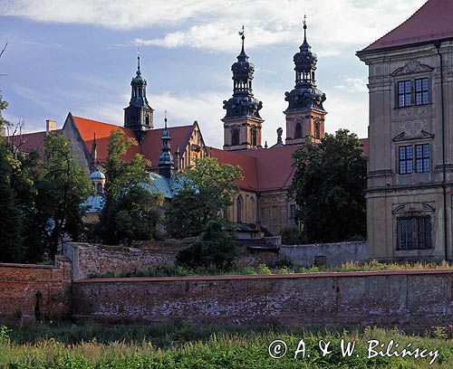 Lubiąż opactwo Cystersów