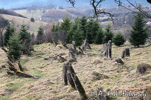 Kirkut w Lutowiskach, Bieszczady