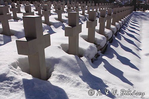 Lwów, Cmentarz Orląt Lwowskich na Cmentarzu Łyczakowskim, Ukraina