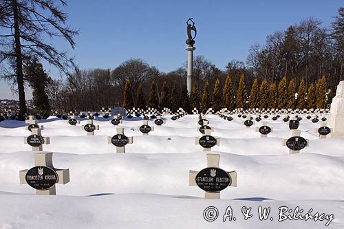 Lwów, Cmentarz Orląt Lwowskich na Cmentarzu Łyczakowskim, Ukraina