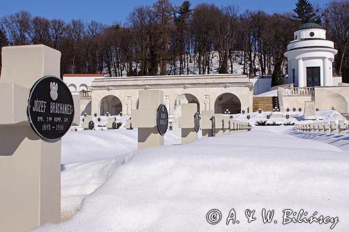 Lwów, Cmentarz Orląt Lwowskich na Cmentarzu Łyczakowskim, Ukraina