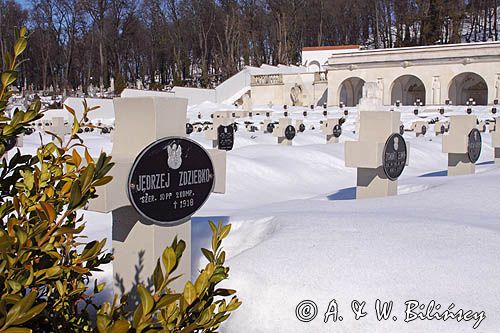 Lwów, Cmentarz Orląt Lwowskich na Cmentarzu Łyczakowskim, Ukraina