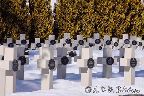 Lwów, Cmentarz Orląt Lwowskich na Cmentarzu Łyczakowskim, Ukraina