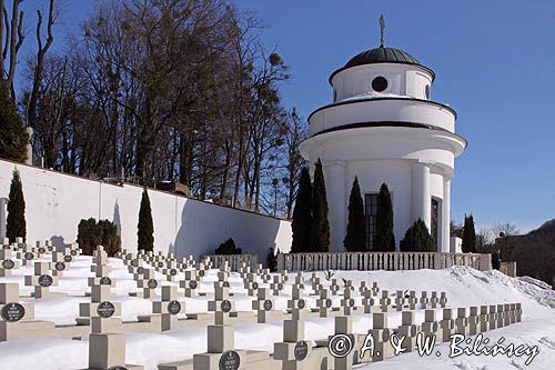 Lwów, Cmentarz Orląt Lwowskich na Cmentarzu Łyczakowskim, Ukraina