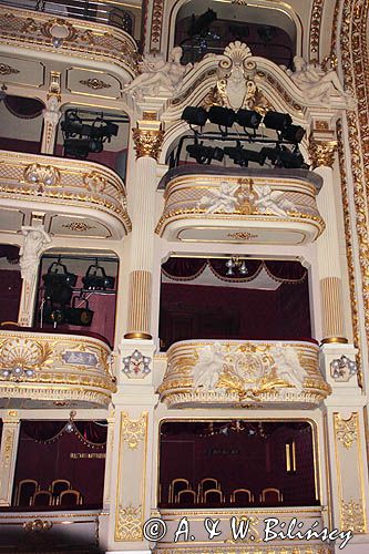 Lwów, Gmach Opery Lwowskiej, Widownia, Ukraina