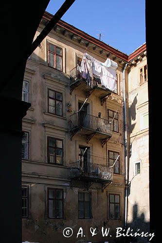 Lwów, zaułek