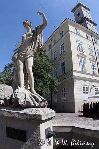 Lwów, fontanna i ratusz, Ukraina