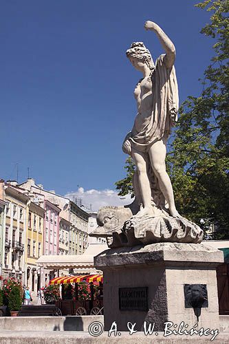 Lwów, fontanna na rynku Ukraina