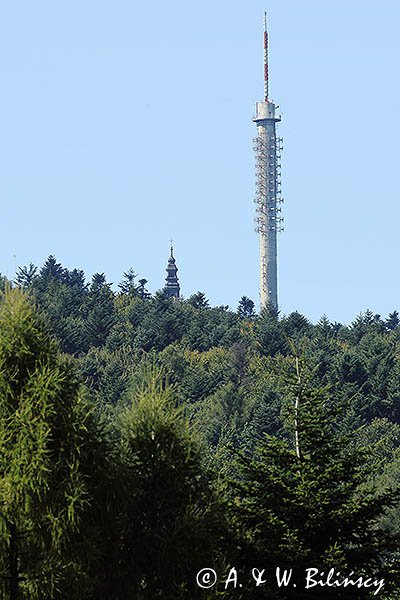 Łysa Góra, Łysogóry, Góry Świętokrzyskie, kielecczyzna