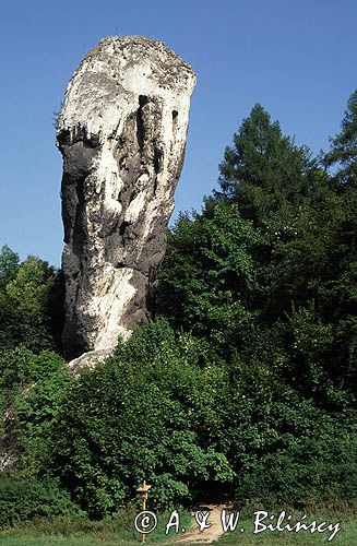 Maczuga Herkulesa Ojcowski Park Narodowy