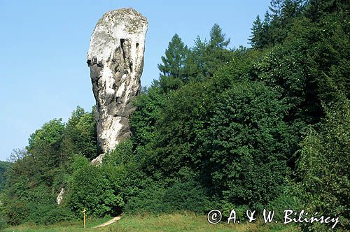 Maczuga Herkulesa Ojcowski Park Narodowy