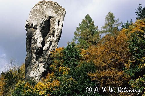 Maczuga Herkulesa Ojcowski Park Narodowy