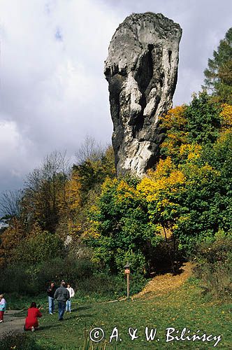 Maczuga Herkulesa Ojcowski Park Narodowy