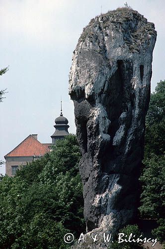 Maczuga Herkulesa Ojcowski Park Narodowy w tle Zamek Pieskowa Skała