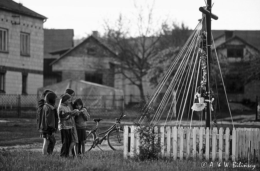 majowe przy krzyżu przydrożnym - Zawadki koło Tomaszowa Lubelskiego Roztocze