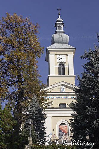 Maków Podhalański, Sanktuarium MB Makowskiej