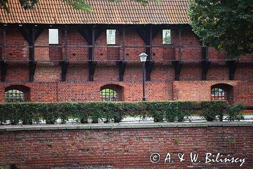 Zamek krzyżacki w Malborku