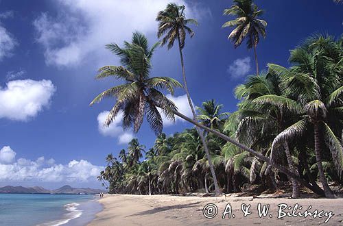 Małe Antyle, Pinney's beach, Nevis