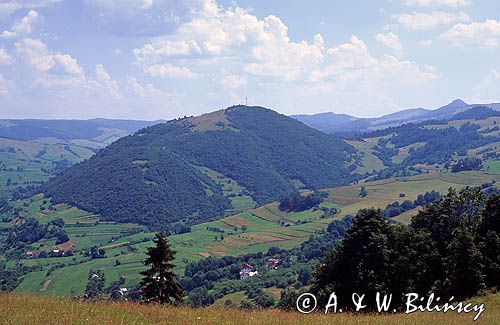 Małe Pieniny, Jarmuta, widok z Palenicy