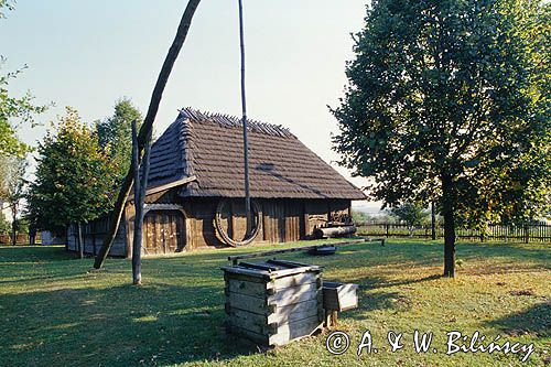 Markowa skansen, studnia żuraw / okolice Przeworska/ Muzeum Wsi Markowa, Rzeszowszczyzna, Podkarpacie, Kotlina Sandomierska