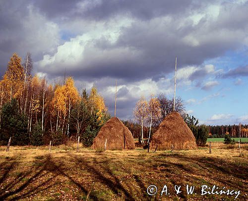 Mazowsze, Mazowiecki Park Krajobrazowy