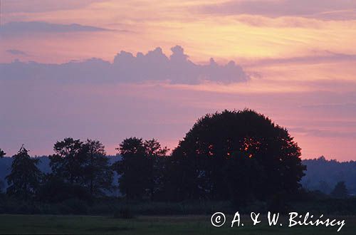 Mazowsze